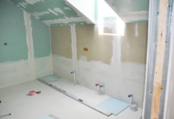 Best Water Damage & Mold Remediation  in Lake Vla, IL
