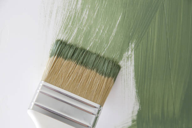 Best Mold Prevention Services  in Lake Vla, IL