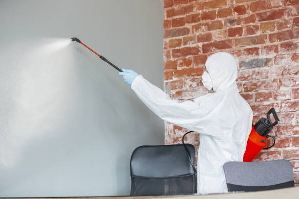 Trusted Lake Villa, IL Mold Removal Experts