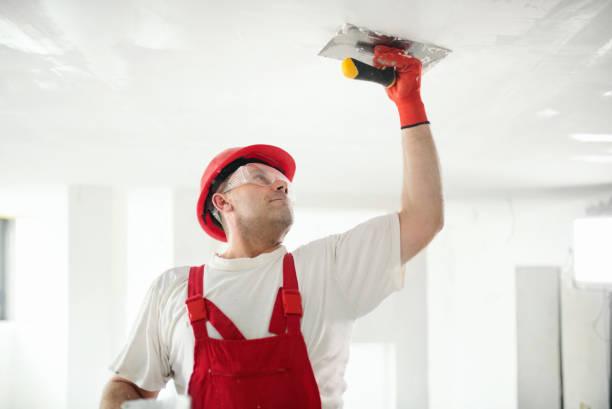  Lake Vla, IL Mold Removal Pros