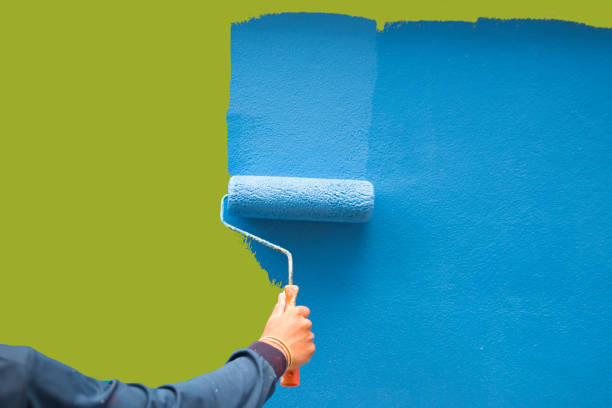 Best Black Mold Removal  in Lake Vla, IL
